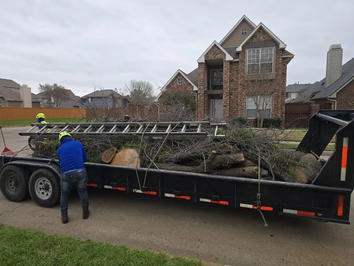 Expert Tree Fertilization with proper safety equipment in Delafield